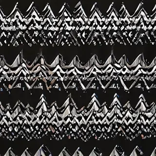 black with white pattern