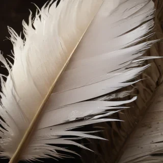 feather background