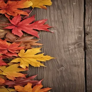 fall background iphone