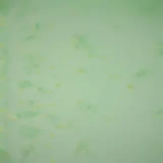 plain light green background