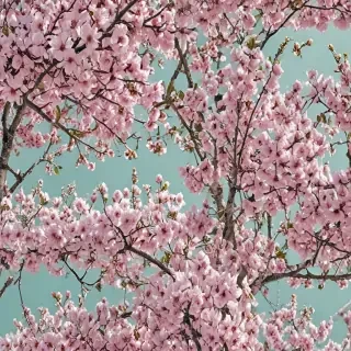 spring wallpaper aesthetic