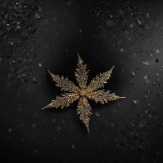black background with glitter
