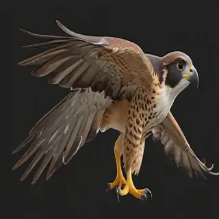 falcon png