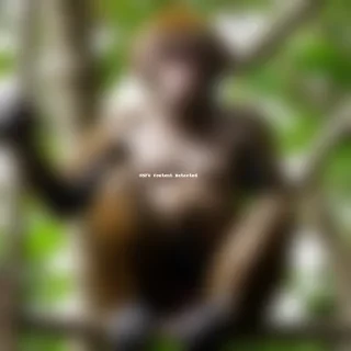 monkey png