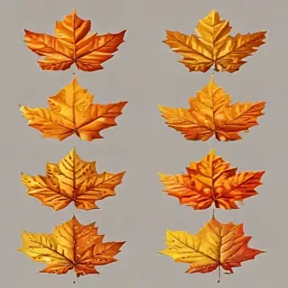 fall leaves png