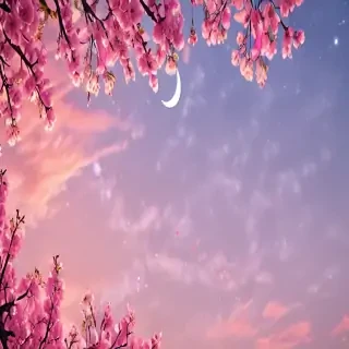 pretty backround