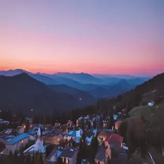 aesthetic cute pictures