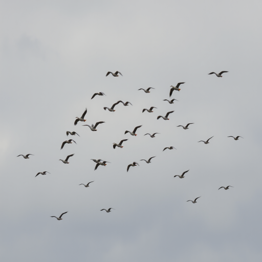 show a flock of birds flying in the sky with overcast clouds in the background, use a Canon EOS R5 camera with a 70-200mm f/2.8 lens, set aperture to f/5.6, shutter speed 1/1000s, ISO 200, capture in landscape mode for a wider view.