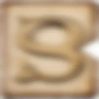 letter s png