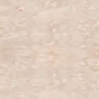 neutral iphone backgrounds