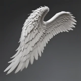 png angel wings