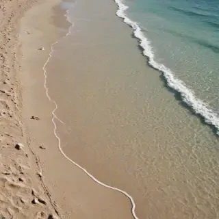 beach transparent