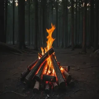 camp fire png