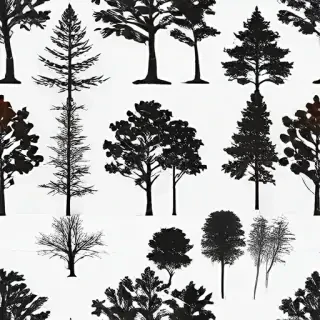 trees transparent
