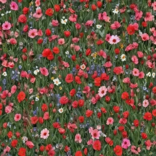 flowers field png