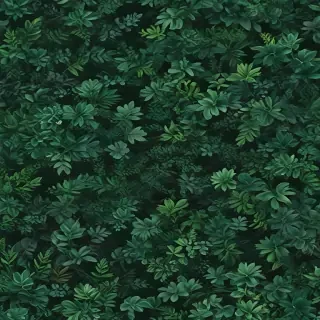 aesthetic backgrounds green