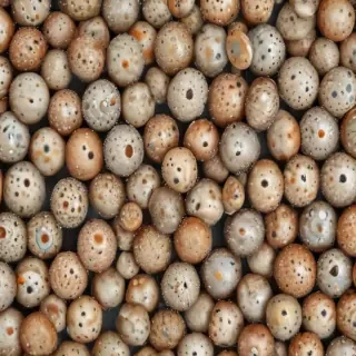 poka dots background