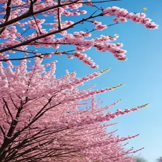 springtime wallpaper