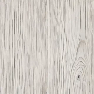 white wood texture