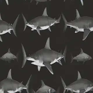 shark background