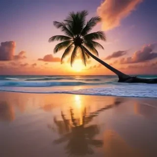 beach pictures