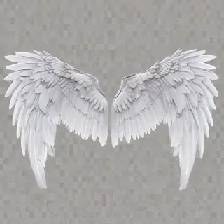 wings transparent
