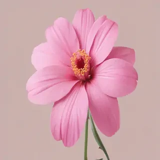 pink flower png