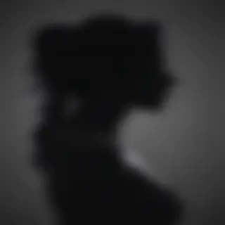 woman silhouette png