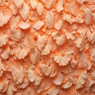 peach color background