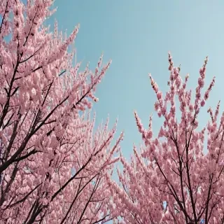 aesthetic wallpaper spring