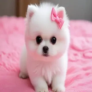 pink cute pictures