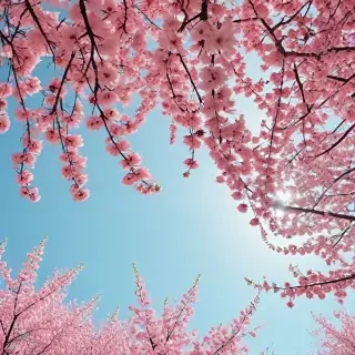 aesthetic wallpaper spring