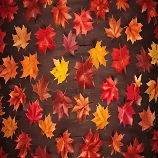 iphone fall wallpaper