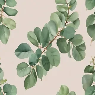 transparent eucalyptus clipart