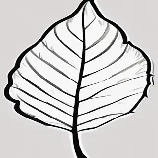 clipart of leaf black and white