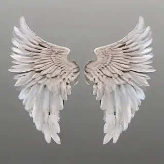 wings transparent