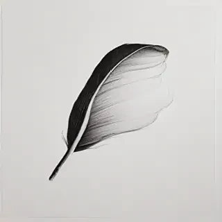 minimalist drawings