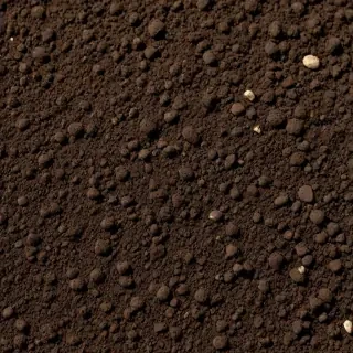soil png