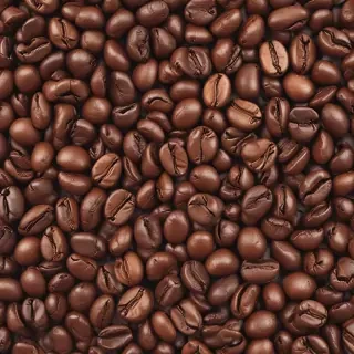 coffee bean png