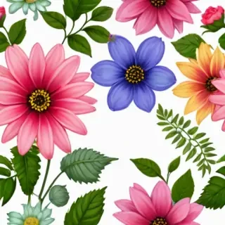 clipart transparent background flowers