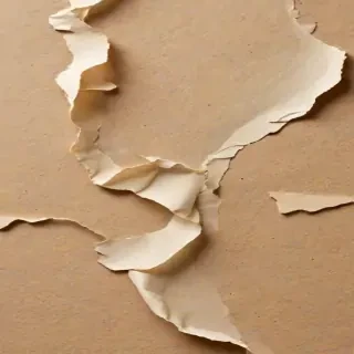 torn paper transparent