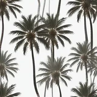 palm trees transparent
