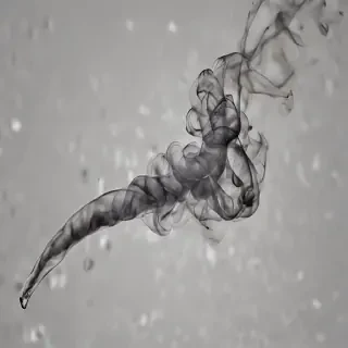 smoke transparent