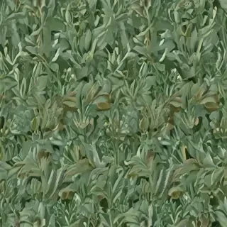 aesthetic sage green