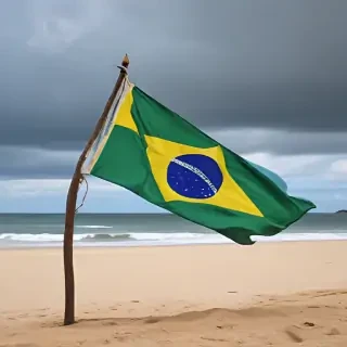 brazilian flag