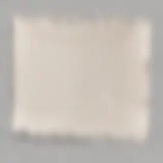 paper ripped png