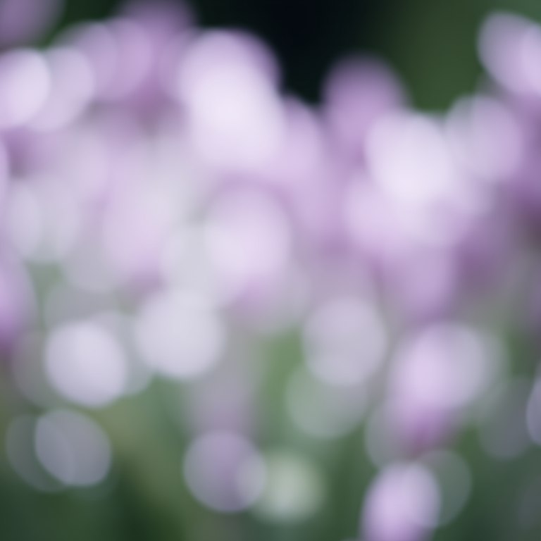 Create a soft focus bokeh background with shades of purple and white, using a DSLR camera with a 50mm lens, aperture set to f/1.8, ISO 100, shutter speed 1/200 sec, in high resolution, capturing a dreamy, ethereal quality.