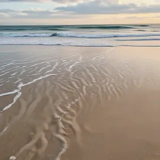 beach pictures