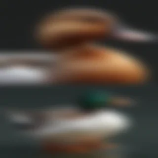 duck clipart