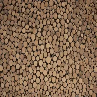 picture of circles